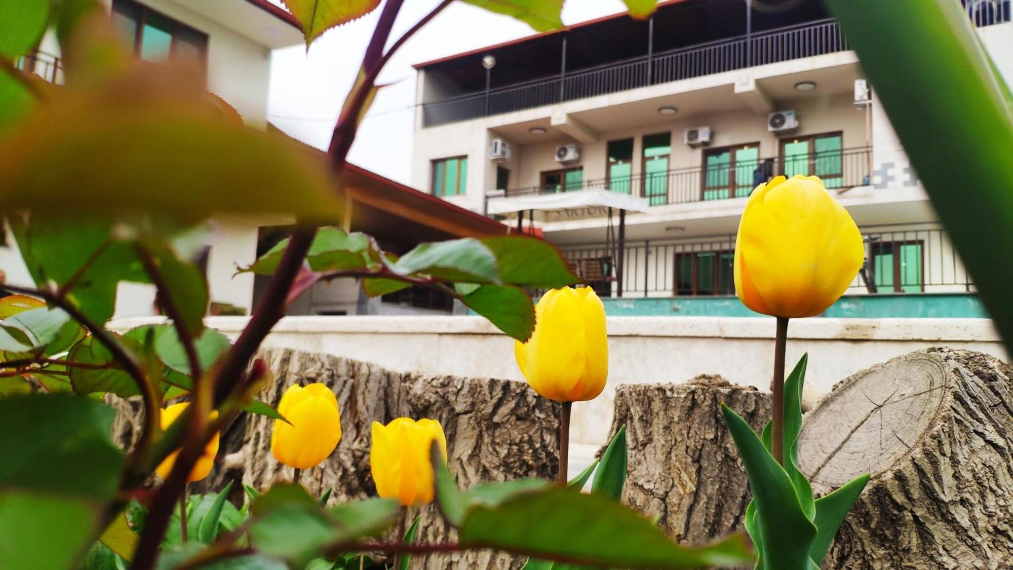 Apex Rest House Of 10 Rooms And Pool Ереван Екстериор снимка